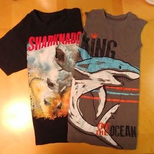 Shark t shirt and tank top
